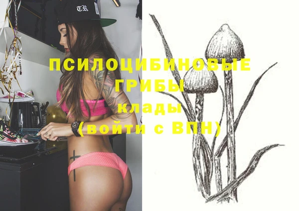 ешки Балахна